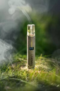 lana一代皮革主機